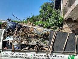 Best Dumpster Rental Services  in Salida Del Sol Estates, TX